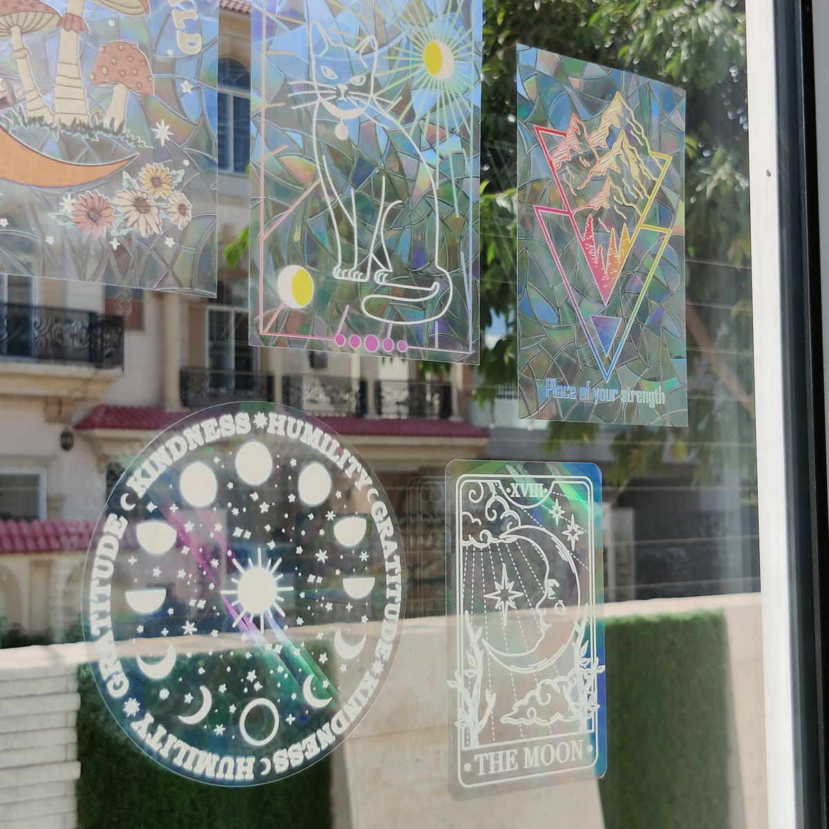 Several suncatcher designs on one sunlit window