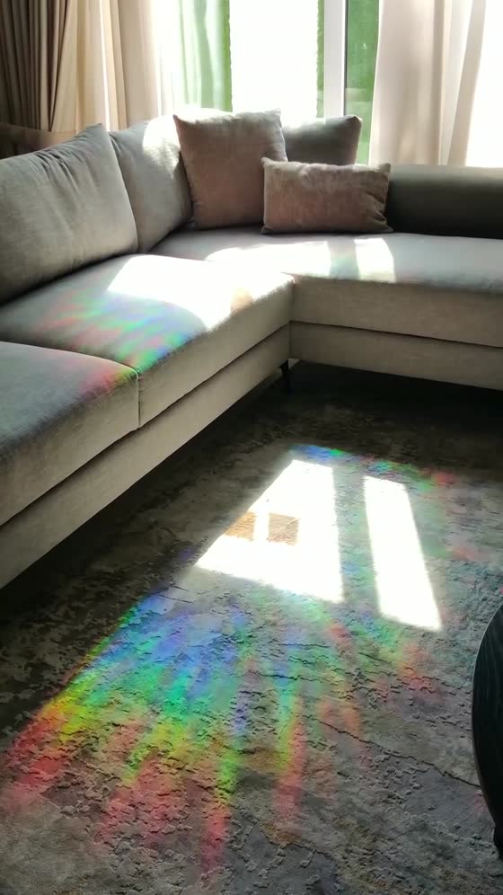 A rainbow pool across a living room carpet