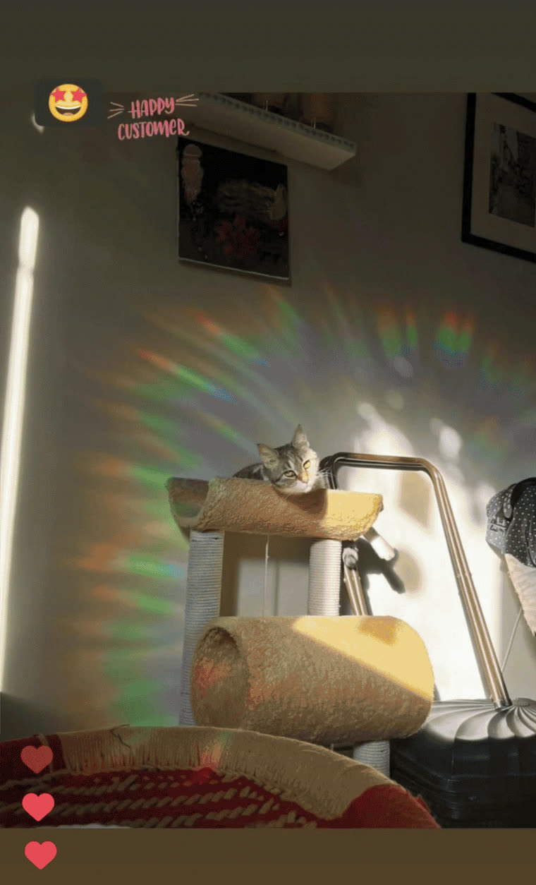 Customer photo: a cat asleep in a wall of rainbows